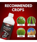 Katyayani Pyron - Pyriproxyfen 5% + Diafenthiuron 25% SE (250 ml x 1 Bottle)